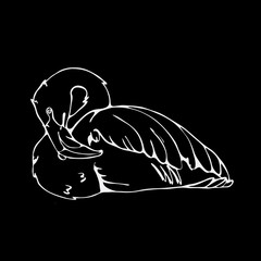 Hand-drawn pencil graphics, flamingo. Engraving, stencil style. Black and white logo, sign, emblem, symbol. Stamp, seal. Simple illustration. Sketch.