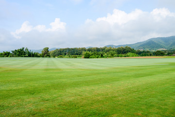 grass field background