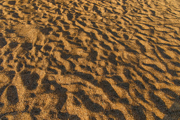 Sand texture. Uneven surface. Sandy beach for background.  Hard shadows at midday on sand.