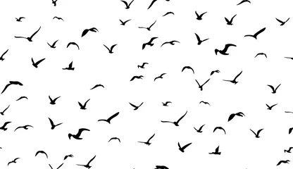 Behang Zwart wit Meeuwen die in de lucht vliegen, naadloos vectorpatroon