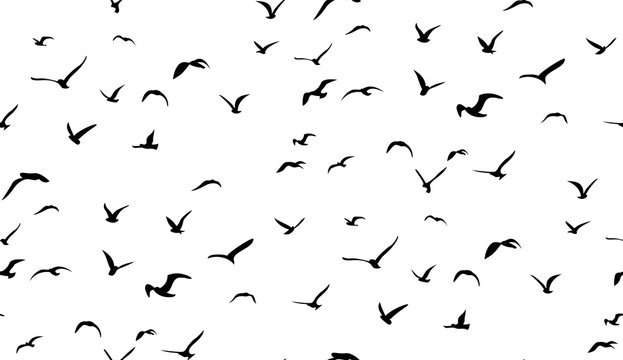Seagulls flying in the sky, seamless vector pattern