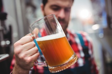 Manufacturer examining beer at brewery