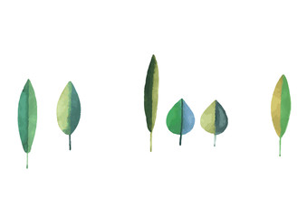 watercolor leaves, vector illustration