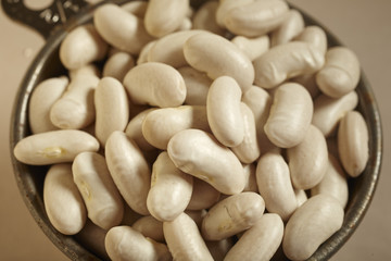 a cup of dried white kidney beans