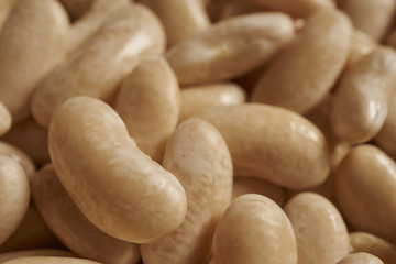 Dried Navy Beans, sometimes called 