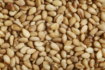 roasted sesame seeds
