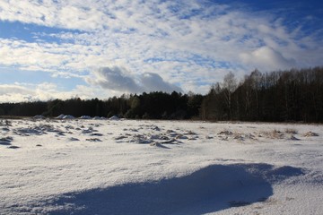 winter landscape