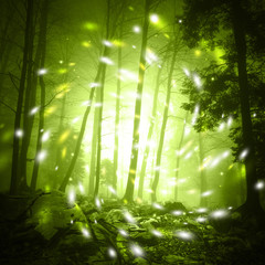 Obraz premium Fantasy yellow green color foggy forest tree landscape scene with mystic firefly lights.