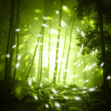 Fototapeta Fantasy yellow green color foggy forest tree landscape scene with mystic firefly lights.