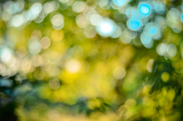 Natural Bokeh,blurred bokeh.

