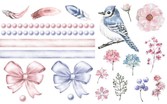 Set cute watercolor elements of flower. Pink and blue bow, bead. Kids collection flowers, leaves, branches, illustration isolated, bird - blue jay, feathers, berry, me-nots, herbs, rim, border.