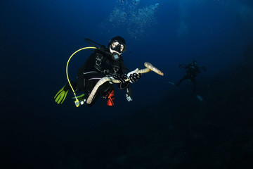 Naklejka na ściany i meble diver with sea snake nderwater diving picture ocean