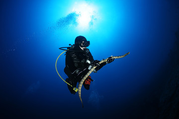 Fototapeta na wymiar diver with sea snake nderwater diving picture ocean