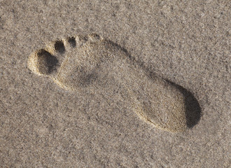 Fototapeta na wymiar Footprint in the wet sand