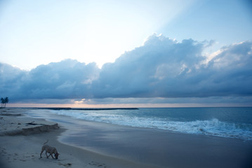 African Beach at the dawn of a new day