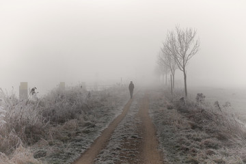 Wanderer, Spaziergänger im Nebel am Elbe Lübeck Kanal, Winterlandschaft 