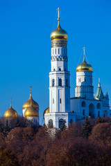 Fototapeta na wymiar The Ivan the Great Bell Tower, Moscow, Russia