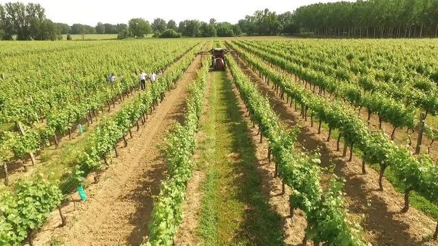 survol de vignobles dans le Bordelais