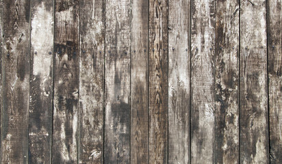 Fototapeta premium wood background