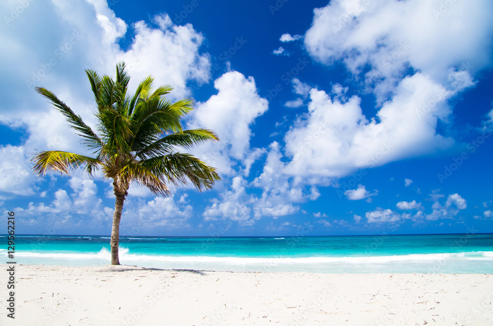 Canvas Prints tropical beach