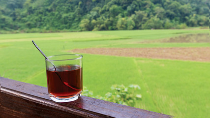 Cap of tea on the terrace in the morning and paddy field