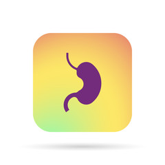 Fototapeta premium icon stomach