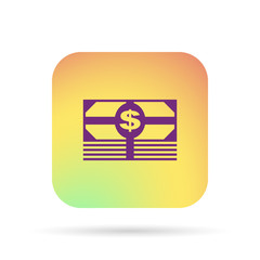 money icon