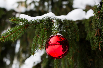red christmas ball on fir tree branch with snow