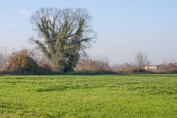 paesaggio di campagna