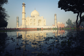 Naklejka premium Amazing Taj Mahal.
