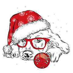 Dog in a Christmas hat and sunglasses. Vector illustration for a card or poster. Print on clothes. Cute puppy. Pedigree dog. Winter holidays. New Year's and Christmas.