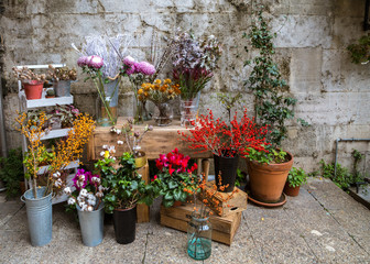 Fototapeta na wymiar Beautiful flowers for sale, arrangement with rowen berries in a flower shop before Christmas