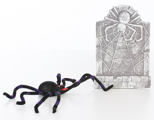spider and headstone on white background