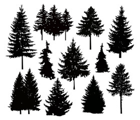 Silhouette of different pine trees. Can be used as poster, badge, emblem, banner, icon, sign, decor... - obrazy, fototapety, plakaty