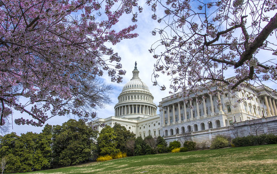 Captiol in spring