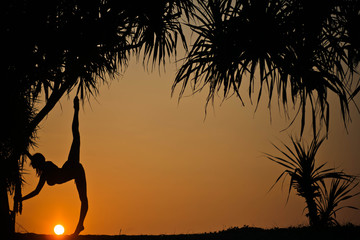 silhouette of a young and graceful woman near palm trees