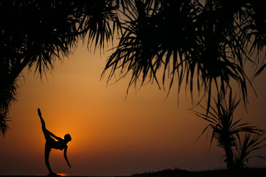 silhouette of a young and graceful woman near palm trees