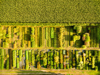 Luftbild - Baumschule Hecken