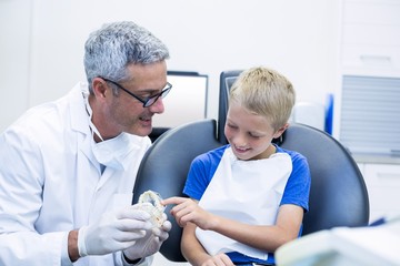 Obraz premium Dentist showing model teeth to patient