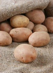 pile of potatoes