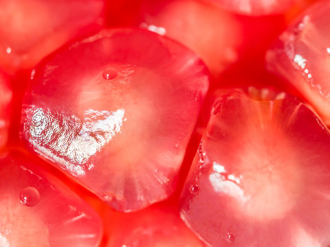 Closeup of abstract pomegranate seeds pattern