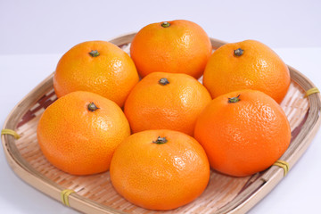 果物　みかん