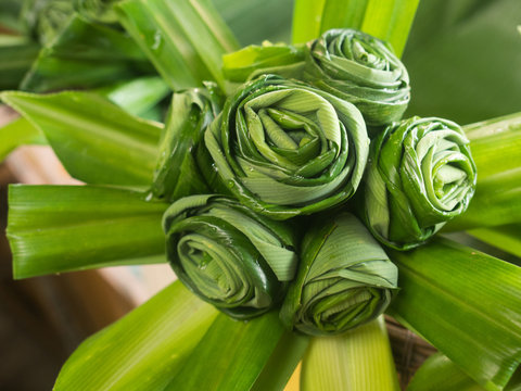green flowers by pandan leaves