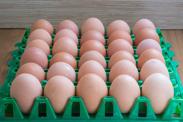 Eggs packed in a green plastic panel on wood background