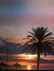 Sonnenaufgang unter Palmen am Meer Mallorca Spain