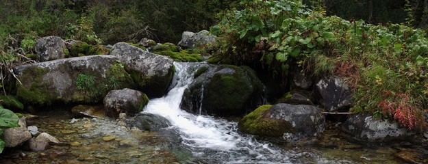 Small brook waterfall