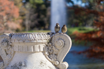 Bird on vase sculpture in park. View of fountain in background.