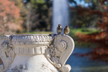 Fototapeta premium Bird on vase sculpture in park. View of fountain in background.