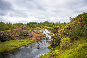 Fototapeta na wymiar Wonderful waterfal in Iceland in Autumn colors
