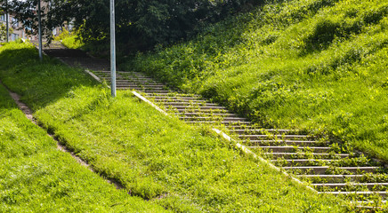 Stairs overgrown with grass

